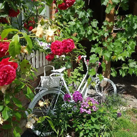 Romantisches Rosencottage 아파트 *