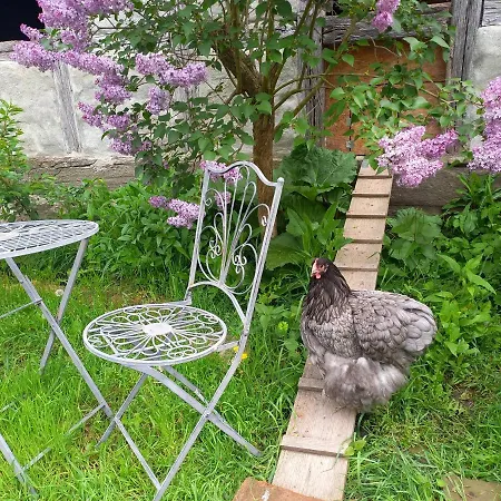 Lejlighed Romantisches Rosencottage Hofheim in Unterfranken